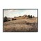Stupell Industries Western Landscape Rolling Hill Framed Giclee, design by Petal Prints Design